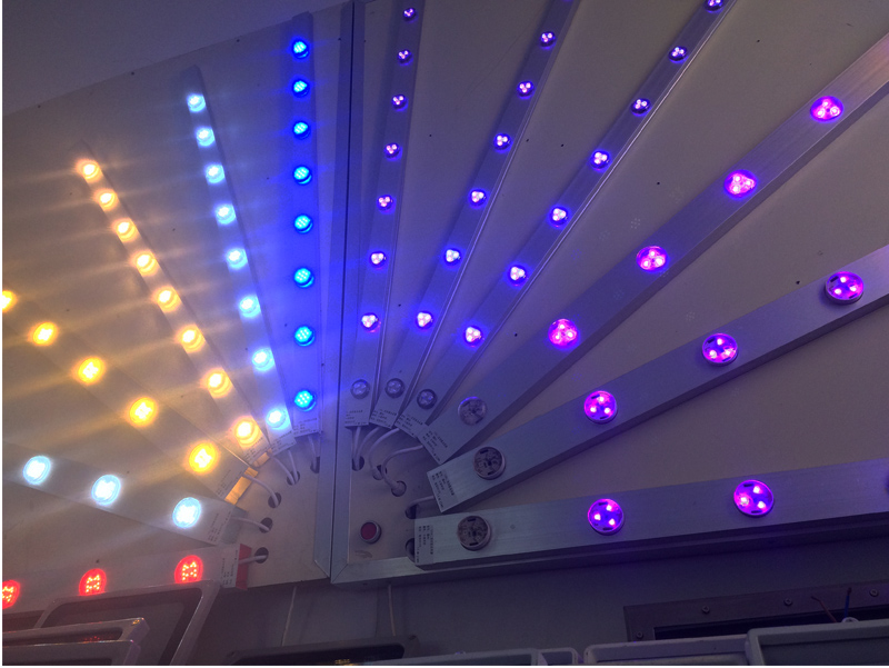 济南市LED二次封装点光源 外墙亮化装饰灯厂家