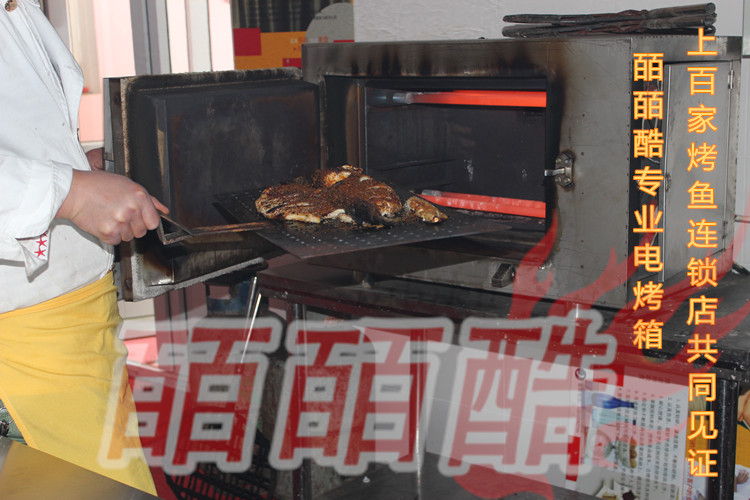 北京市烤鱼电烤箱，天津烤鱼电烤箱厂家