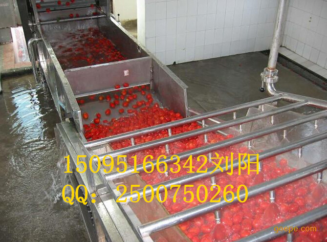潍坊市西兰花清洗机厂家供应用于菜花清洗机|西兰花清洗机|生菜清洗机