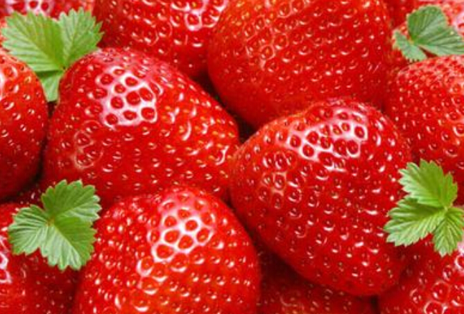 红花草莓小苗，价格批发品种供应红花草莓小苗，价格批发品种