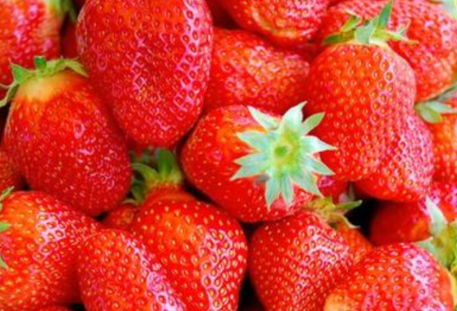 供应甜查理草莓小苗，品种，批发