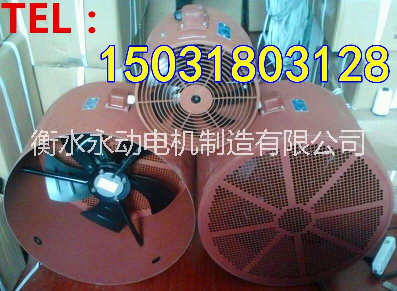 供应用于变频电机通风的变频电机(调速）专用通风机生产厂家G63-G500