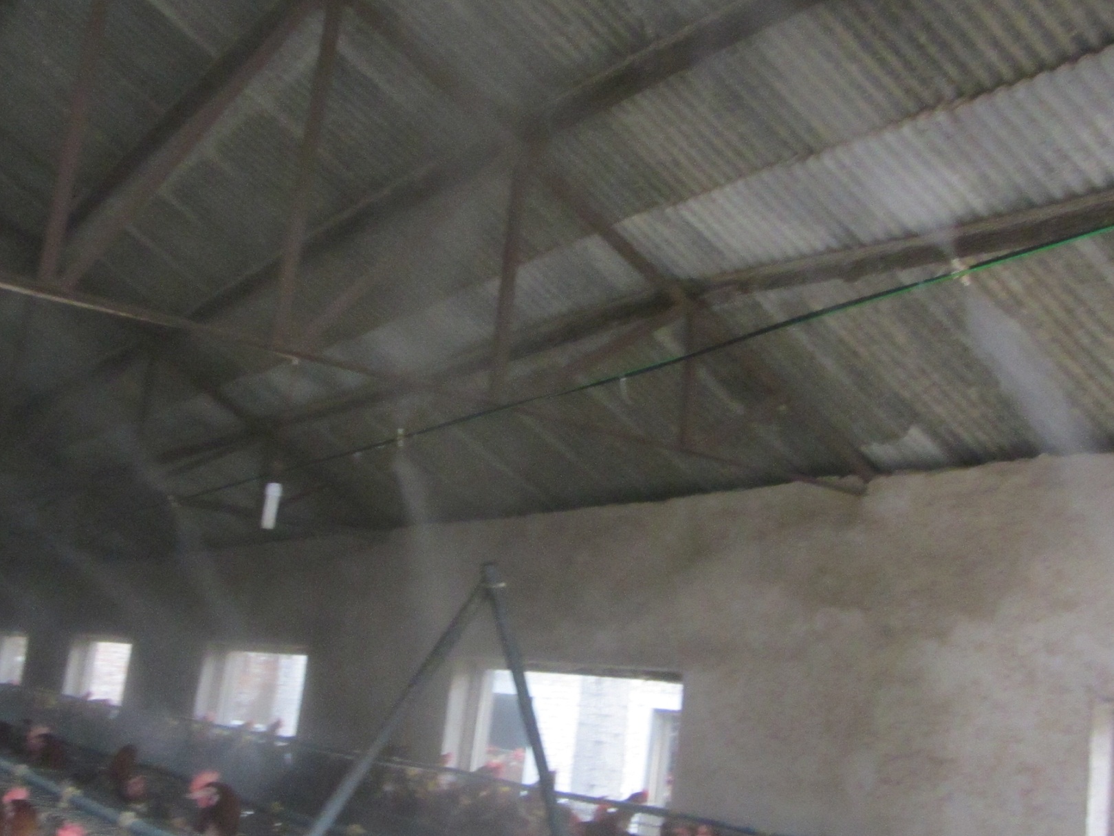 供应养鸡厂全场自动喷雾加湿降温消毒设图片