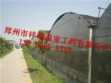 郑州市温室大棚厂家什么地方有建造温室大棚/大棚建造技术的