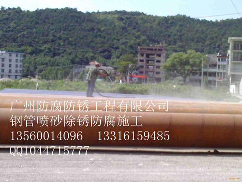 广州市广州天狼钢结构油漆施工有限公司厂家
