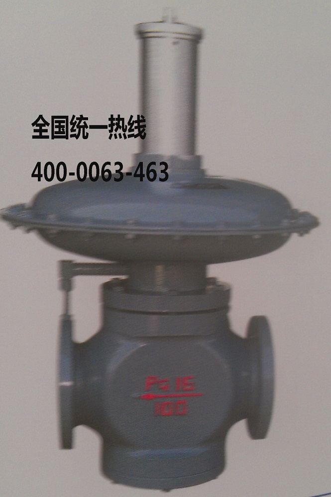 衡水市200SN直接作用式燃气调压器厂家供应200SN直接作用式燃气调压器