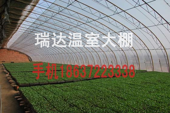 供应用于建大棚的河南瑞达温室工程之蔬菜温室大棚