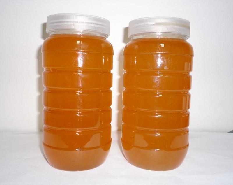 供应喝自养蜂蜜有那些好处？深圳自养蜂蜜批发价格，深圳自养蜂蜜批发商图片