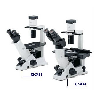供应奥林巴斯倒置生物显微镜CKX31倒置显微镜图片