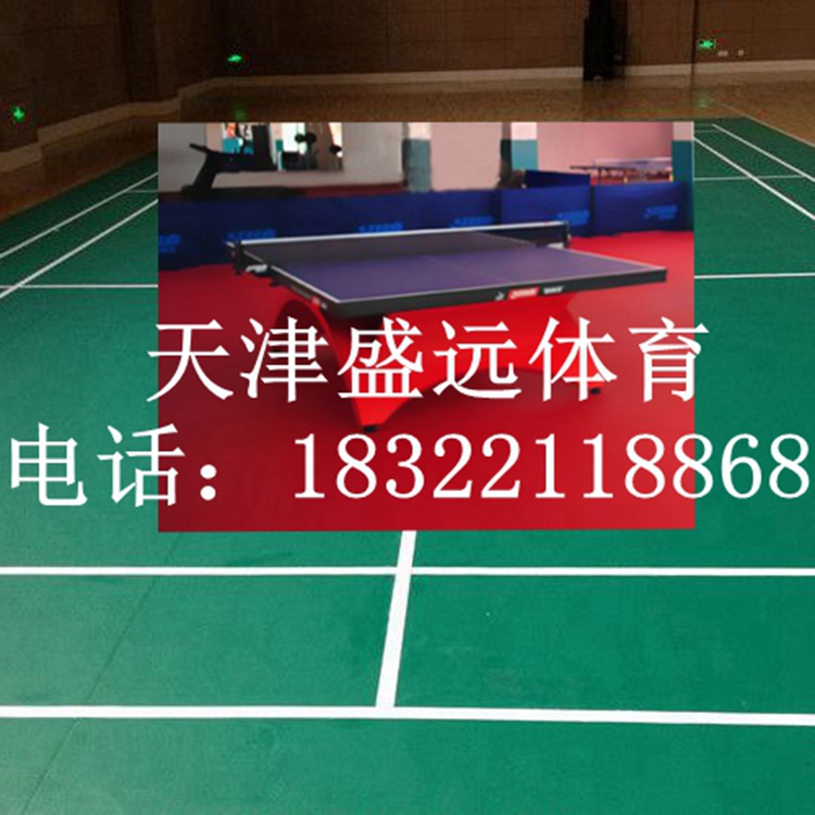 供应乒乓球场地铺设_乒乓球场地铺设价格_天津盛远体育