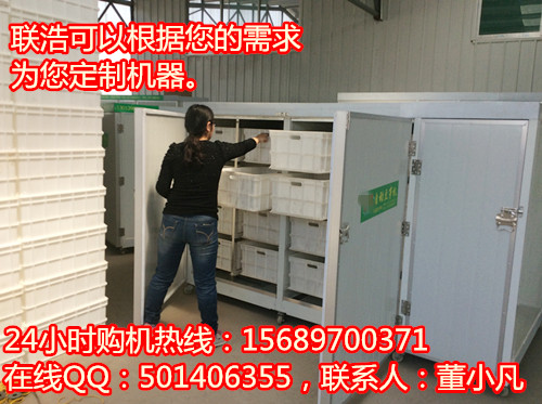 供应浙江温州全自动豆芽机，豆制品设备