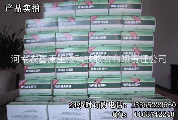 郑州市发酵床养鸡专用菌种的厂家销售电话厂家供应发酵床养鸡专用菌种的厂家销售电话