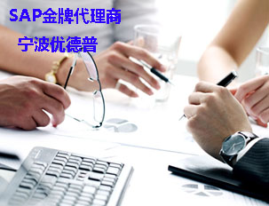 供应杭州ERP系统公司 找杭州SAP公司 优德普杭州SAP服务商