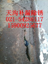 供应用于上海医学的上海医学工业园区防水补漏