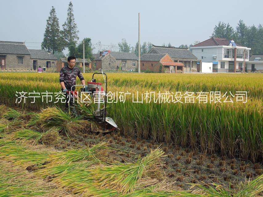 供应秸秆收割机 水稻割捆机厂家直销图片