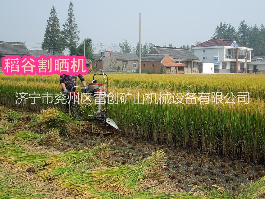 供应多功能水稻收割机 割捆机价格