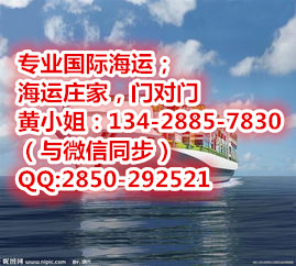 供应最新美国海运报价/中国至美国海运