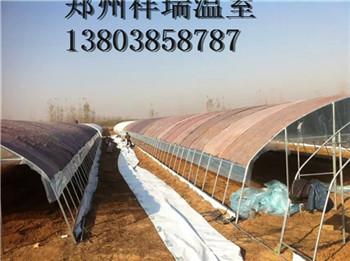 郑州市新型几字钢温室大棚蔬菜大棚造价厂家