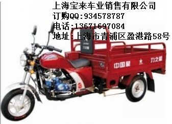 湖南湘潭市力之星LZX110ZH小太子三轮摩托车特价图片
