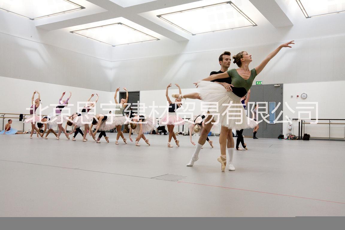北京市舞蹈房塑胶地板厂家舞蹈房塑胶地板
