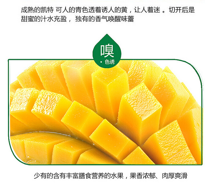 供应用于新鲜水果的四川芒果价格多少/美味芒果包邮图片