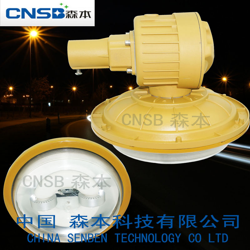 供应SBD1103-YQL50免维护节能防爆灯，厂家供应防爆无极灯价格
