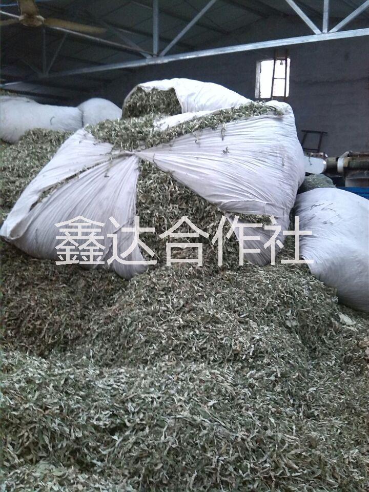 供应用于茶用药用的微山湖产荷叶供应商 干荷叶价格