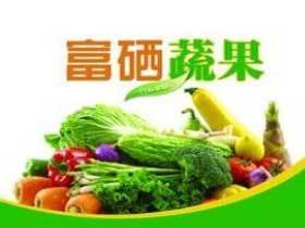 2016北京富硒食品展览会批发