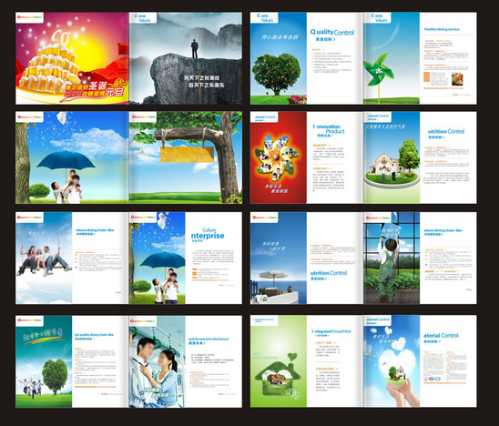 VI设计画册设计平面设计广告策划图片