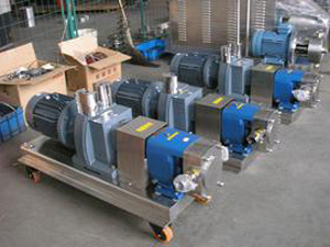 转子泵的供货商益昌泵业生产提供 转子泵 凸轮转子泵 不锈钢转子