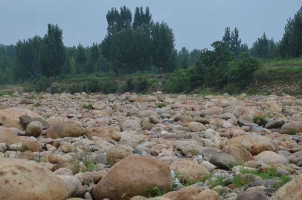 河南河石鹅卵石水冲石密度