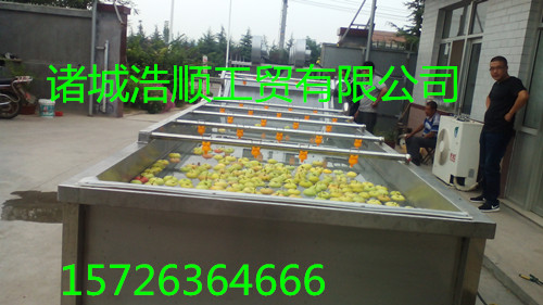 潍坊市优质水果清洗设备厂家气泡水果清洗机 草莓气泡清洗机 优质水果清洗设备