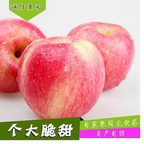 供应杭州苹果批发，杭州苹果批发价格，杭州苹果批发商图片