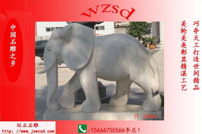 供应石头大象 汉白玉石雕大象价格 白石头大象哪里卖