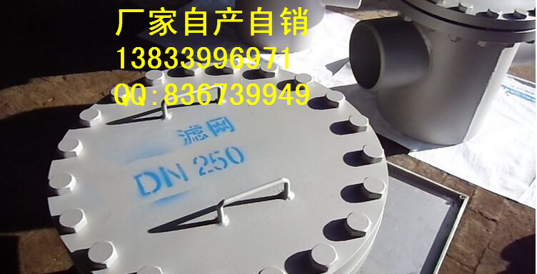 GD87电标给水泵入口滤网