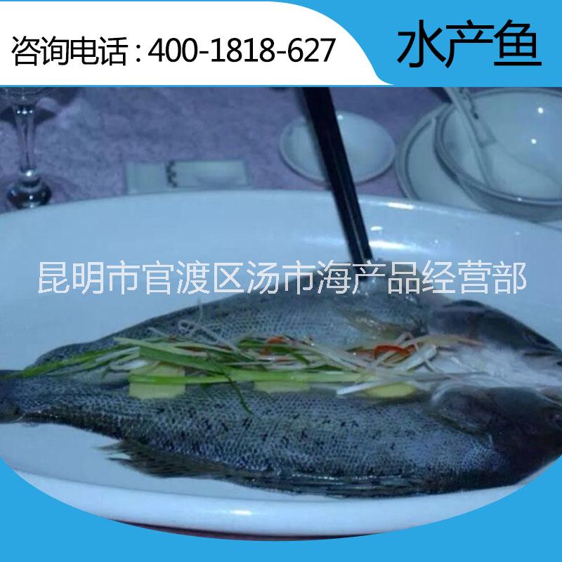 厂家直销新鲜水产鱼 海鲈 缅甸黄鱼 白条鱼