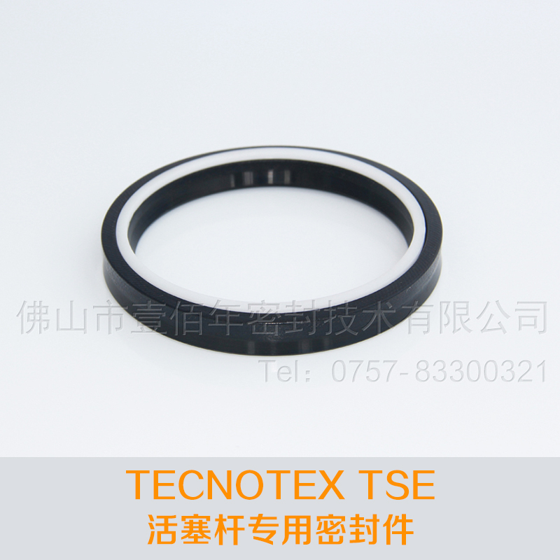 供应TECNOTEX TSE 活塞杆专用密封件厂家