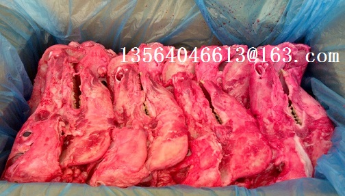 上海市冷冻猪蹄厂家供应用于食品的冷冻猪蹄猪头骨猪筒骨