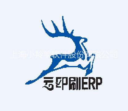 上海小羚羊软件股份有限公司