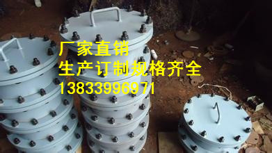 供应用于石油的烟道除灰孔300*300  排污孔最低价格 D-DL200矩形人孔专业生产厂家图片