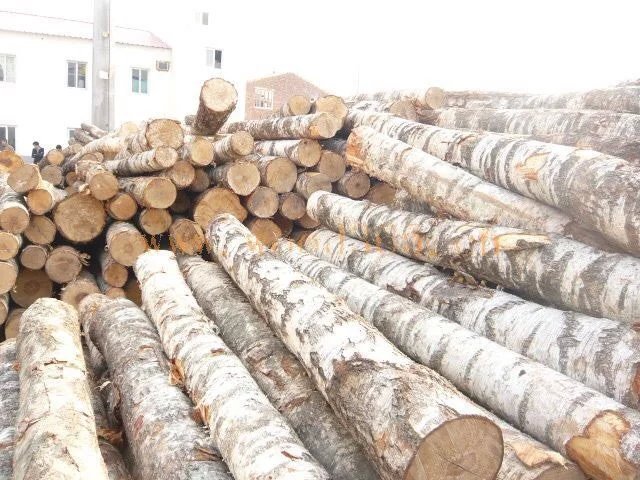呼伦贝尔市俄罗斯木材订单加工白桦樟子松落叶厂家