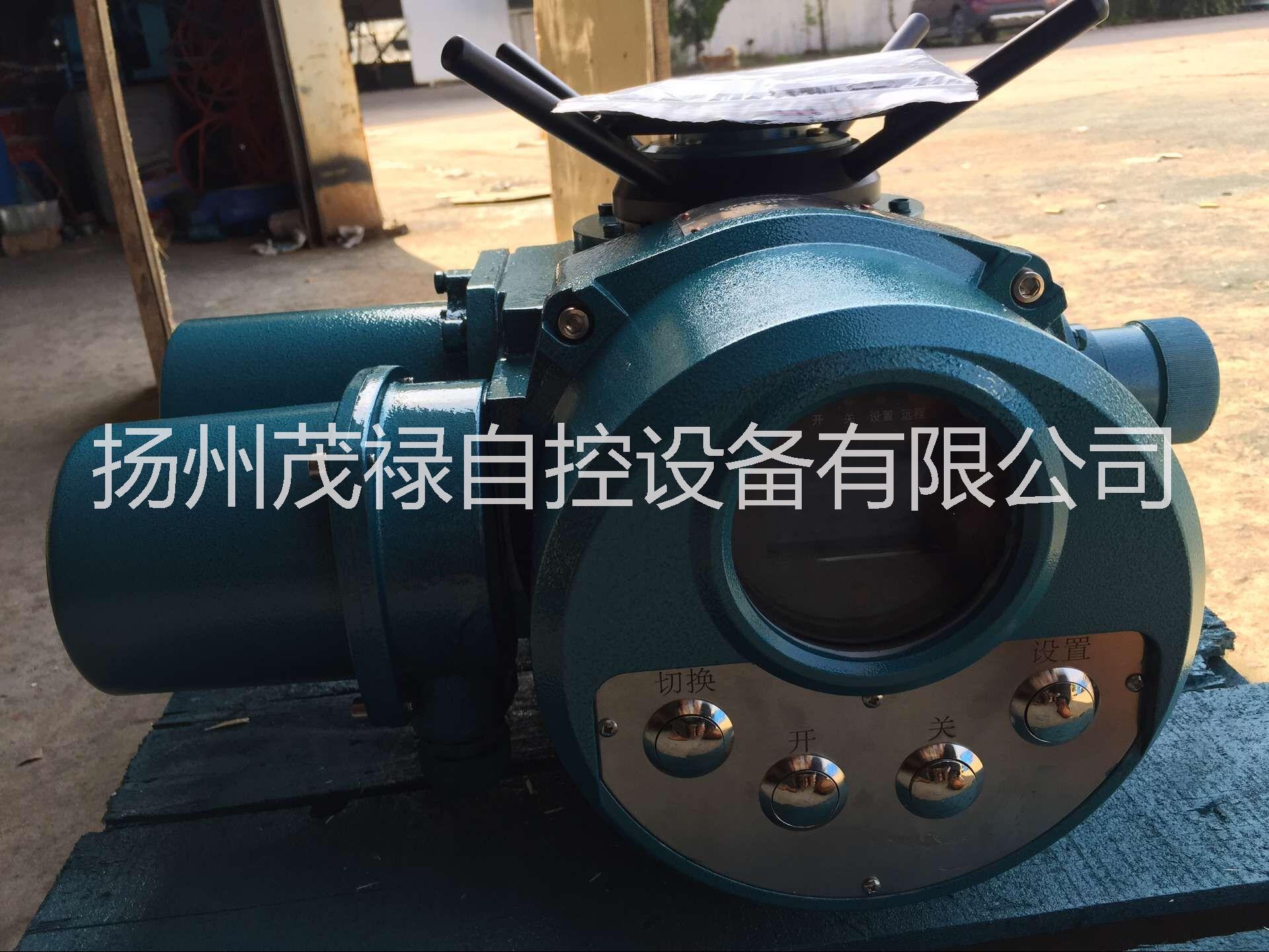 供应扬州机电一体化执行器DZW系列厂方特供图片