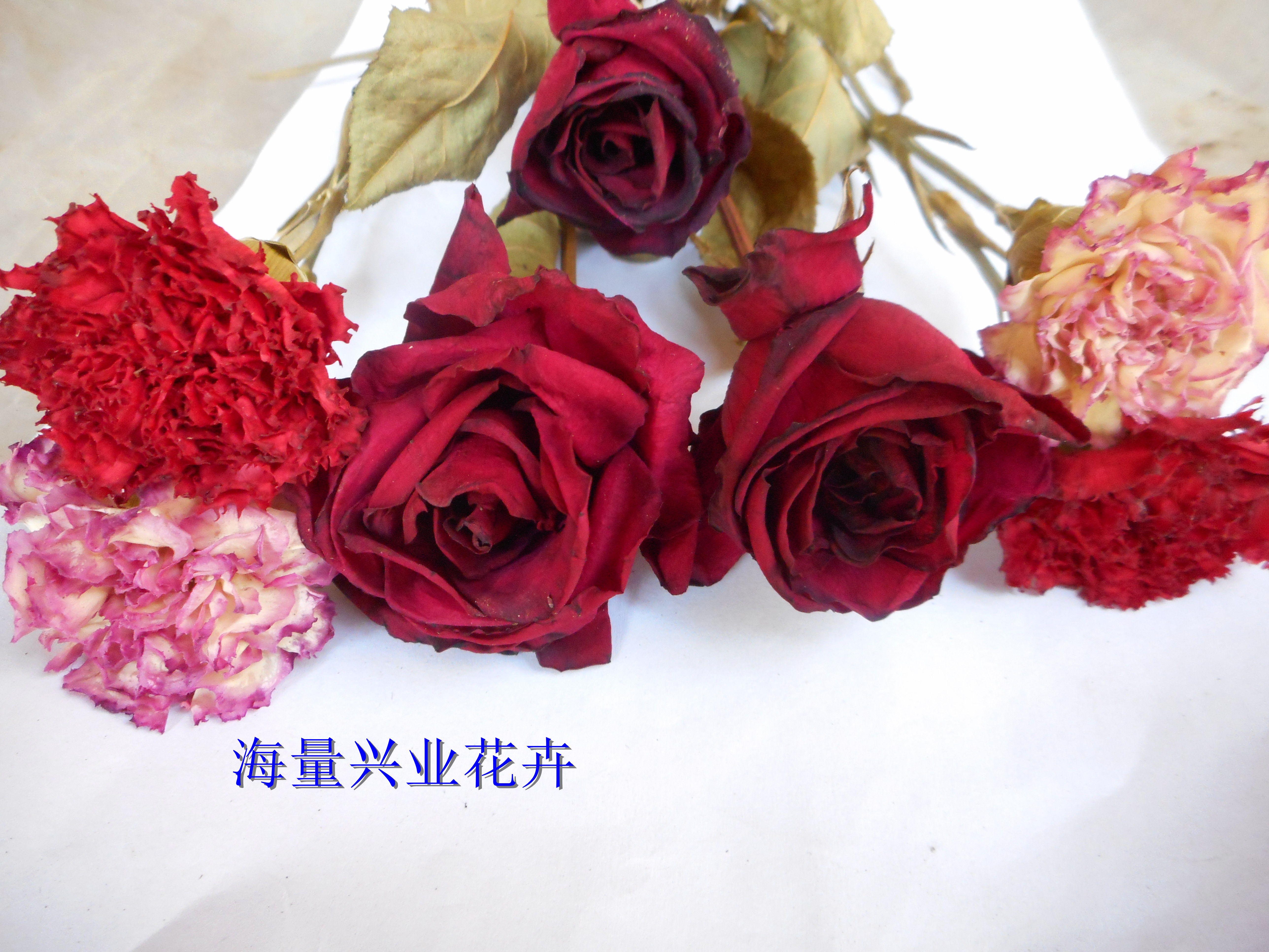 昆明市干月季花蕾供应|玫瑰干花花瓣厂家供应干月季花蕾供应|玫瑰干花花瓣