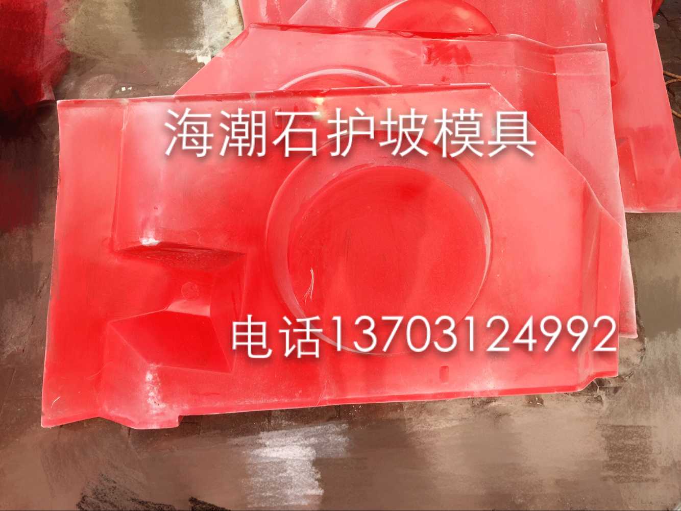 供应牡丹江河堤海潮石花型护坡模具1厂家批发价格哪家好图片