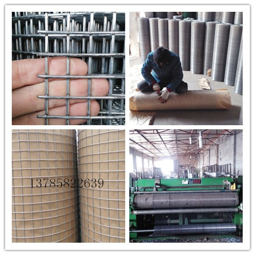 供应异型电焊网定制，异型电焊网批发