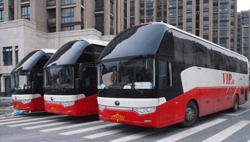 北京市早到巴士旅游会议结婚大巴包车租赁厂家