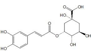 实验室大量促销新绿原酸、906-33-2、5-Dicaffeoylquinic acid图片
