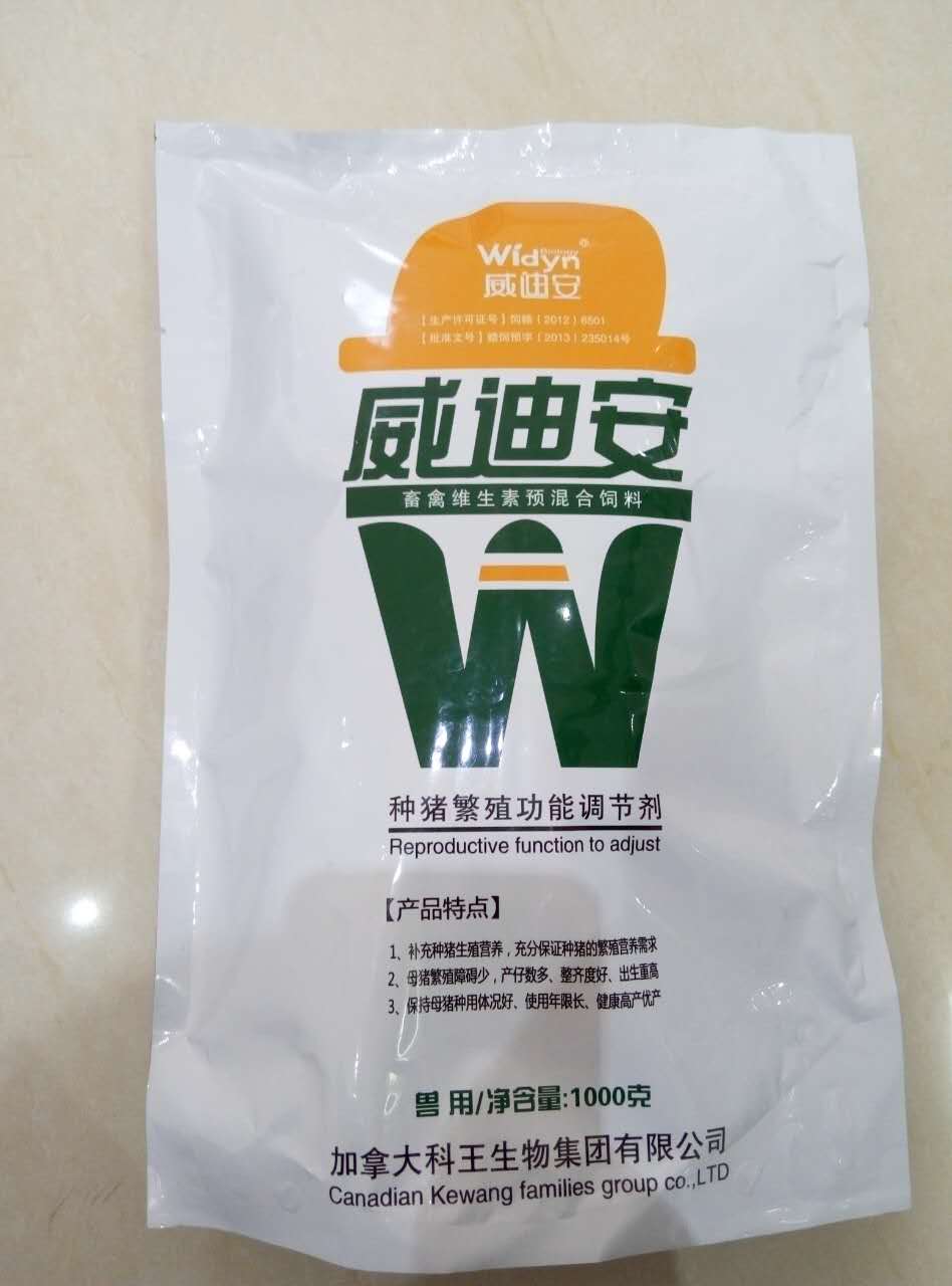 使用威迪安猪繁殖性能好，发情配种快