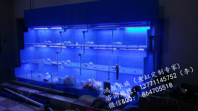 无锡市无锡鱼缸超市海鲜池定做有机玻璃鱼厂家