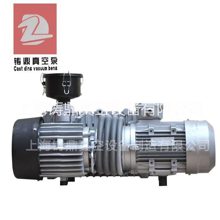供应铸鼎单级旋片真空泵XD-202 4.5KW电机抽速快 可定制非标脱泡真空泵